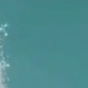 Meet your Posher, Helena